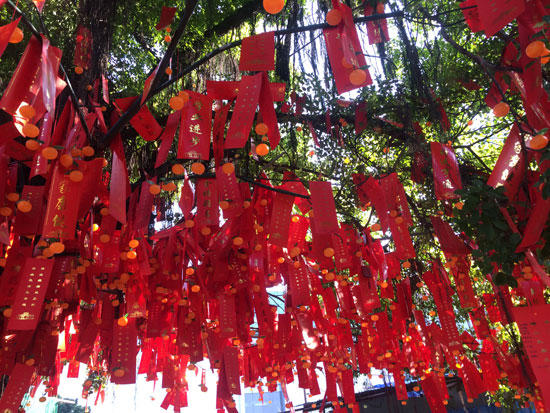 組圖：粵劇、廟會到社區拜年大祝福 廣州年味十足【11】
